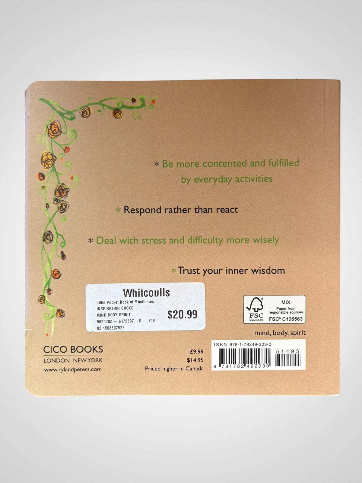 The Little Pocket Book of Mindfulness