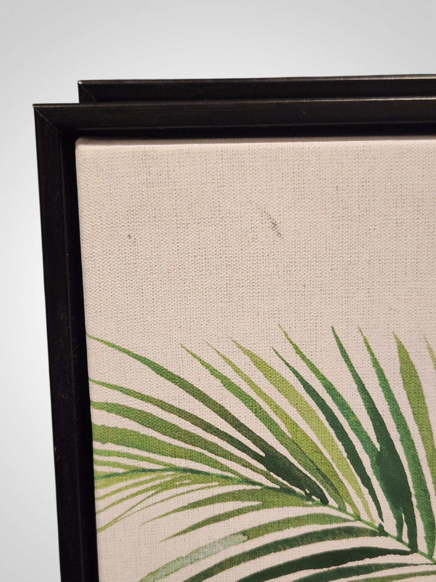 Summer Thornton Framed Prints - Set of 3