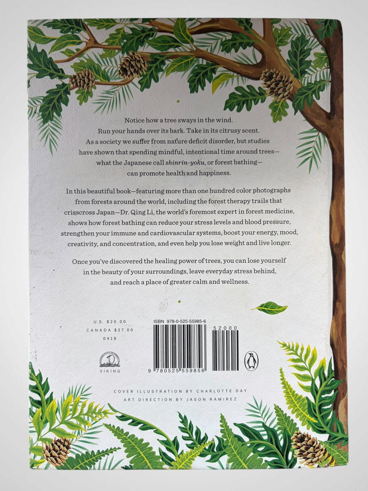 Forest Bathing