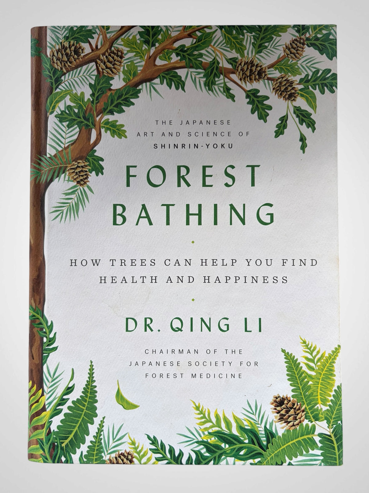 Forest Bathing