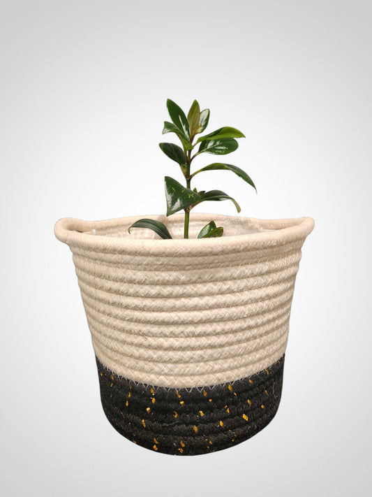 Rope Basket