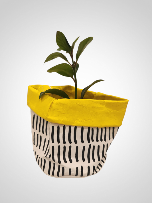 General Eclectic Wash Paper Bag