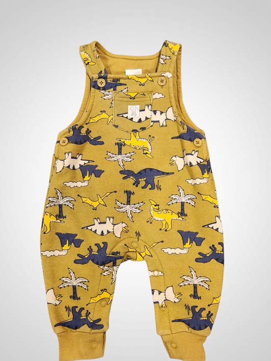 Teeny Weeny Dinosaur Overalls 3-6M