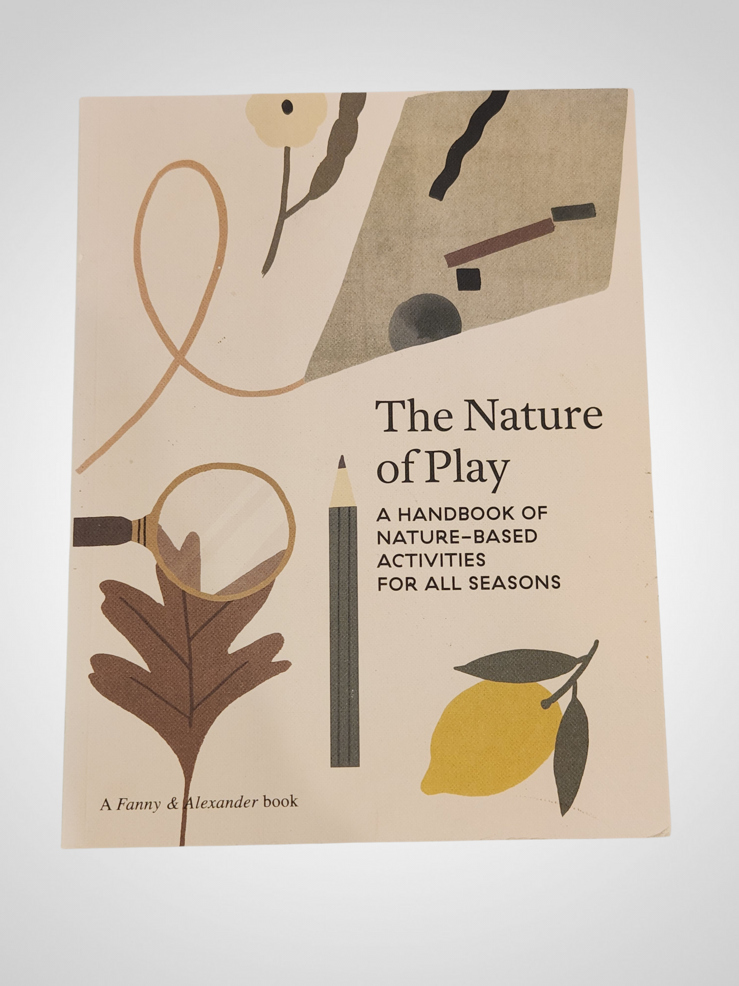 The Nature of Play