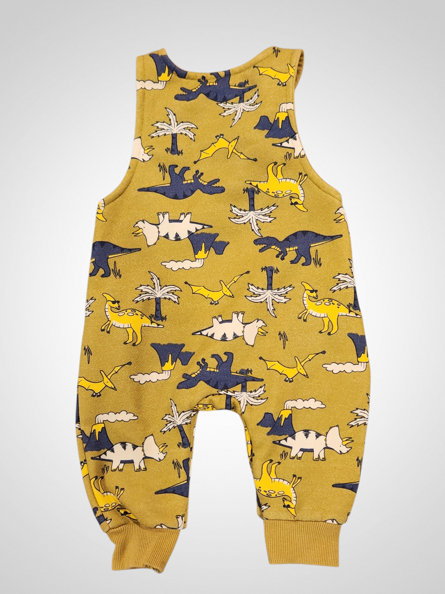 Teeny Weeny Dinosaur Overalls 3-6M