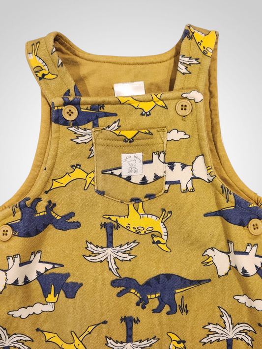 Teeny Weeny Dinosaur Overalls 3-6M