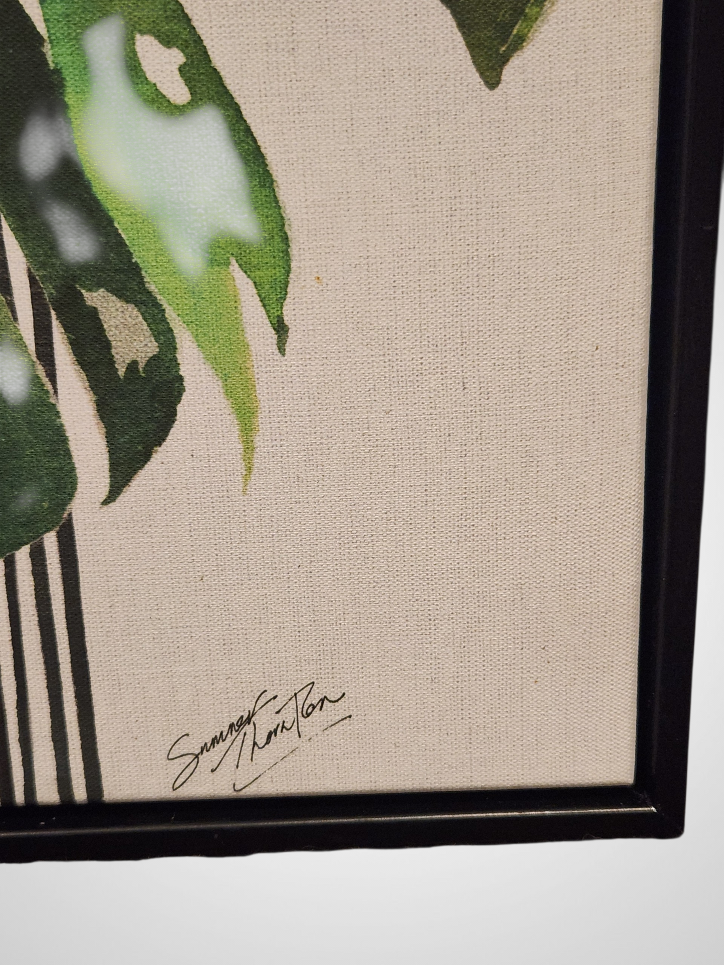 Summer Thornton Framed Prints - Set of 3