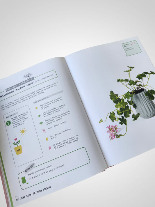 Grow Your Own Pet Plants