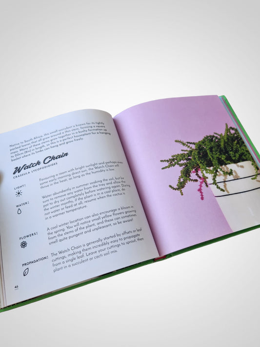 The Little Book of Cacti and Other Succulents